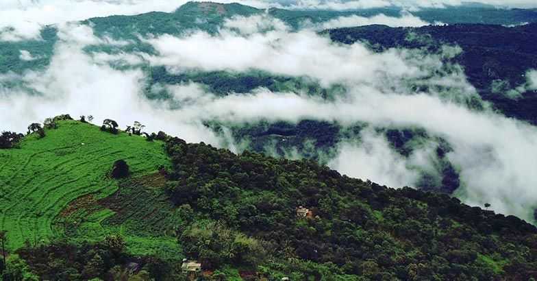 Palakkayam Thattu